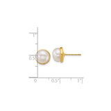 14k Yellow Gold Pearl Stud Earrings with Round White Cultured Pearls in Bezel Setting