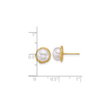 14k Yellow Gold Stud Earrings with Round White Cultured Pearls, Textured Bezel Setting