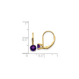 14k Yellow Gold Leverback Earrings with Amethyst Drops, February Birthstone Jewelry