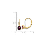 14k Yellow Gold Leverback Earrings with Rhodolite Garnet, Classic Timeless Design for Women