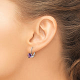 14k White Gold Drop Earrings with Amethyst, Round Cut Gemstone, Leverback Design