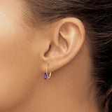 14k Yellow Gold Leverback Earrings with Oval Amethyst Drop, February Birthstone Dangle Jewelry