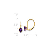 14k Yellow Gold Leverback Earrings with Oval Amethyst Drop, February Birthstone Dangle Jewelry