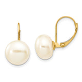 14k Yellow Gold Leverback Earrings with Round White Cultured Pearls, Classic Minimalist Style