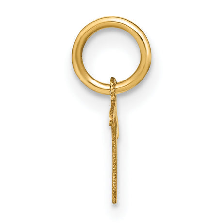 14k Yellow Gold Tau Cross Pendant, Saint Francis Religious Charm for Men and Women