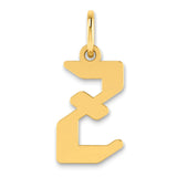 Letter Z Initial Charm Pendant in Real 14k Yellow Gold