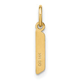 14k Yellow Gold Mezuzah Pendant, Vertical Elongated Jewish Charm for Women or Unisex Wear