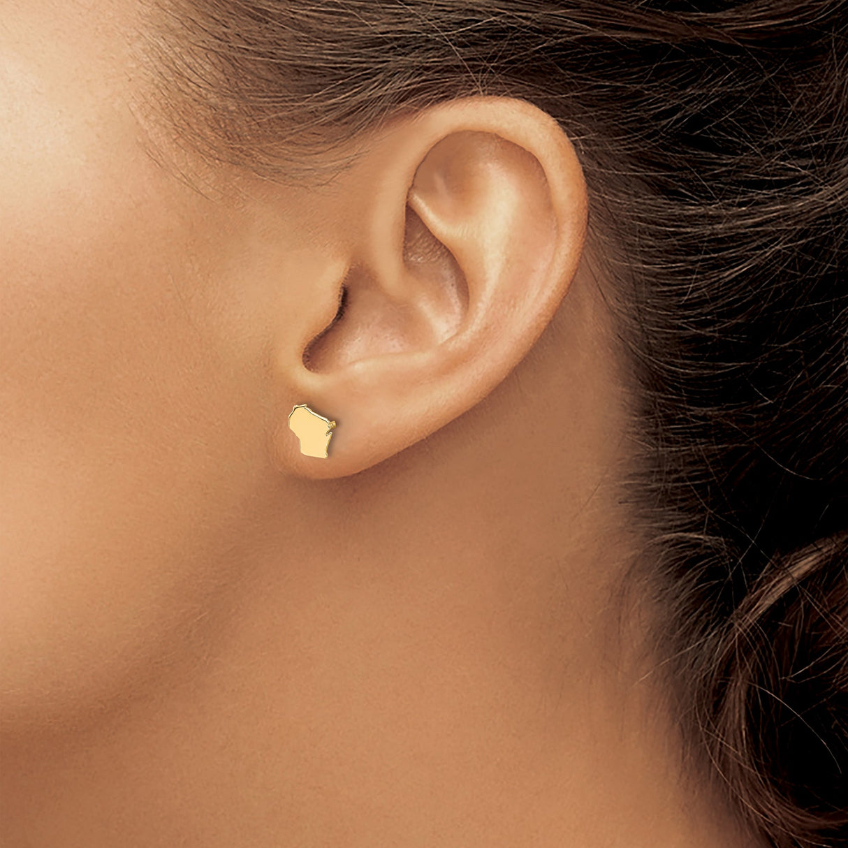 14k Yellow Gold Wisconsin State Stud Earrings, Polished Map Outline, Minimalist Style for Women