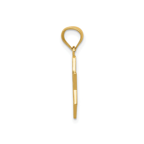 14k Yellow Gold Pendant, Star of David with Chai Symbol, Textured Finish, Jewish Heritage Jewelry