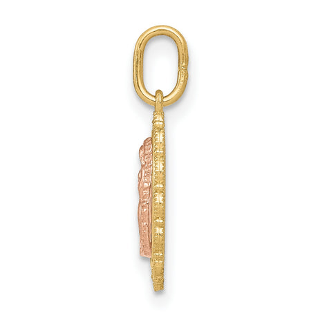 14k Two-Tone Gold Our Lady of Guadalupe Pendant with Rose Gold Virgin Mary and Scalloped Border