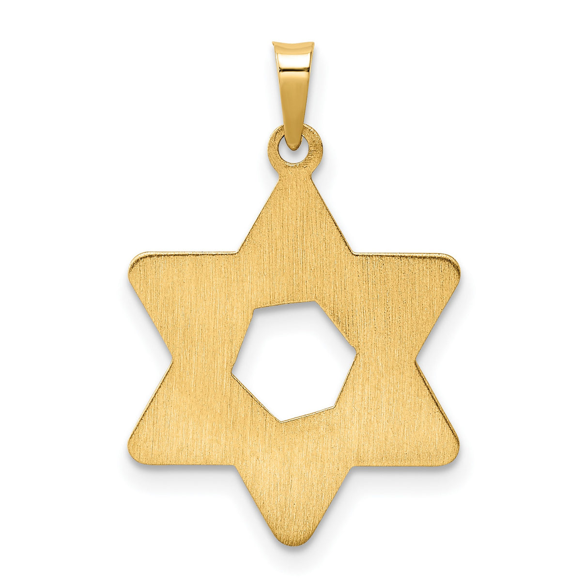 14k Yellow Gold Star of David Pendant with Textured Leaf Design, Jewish Symbol Jewelry