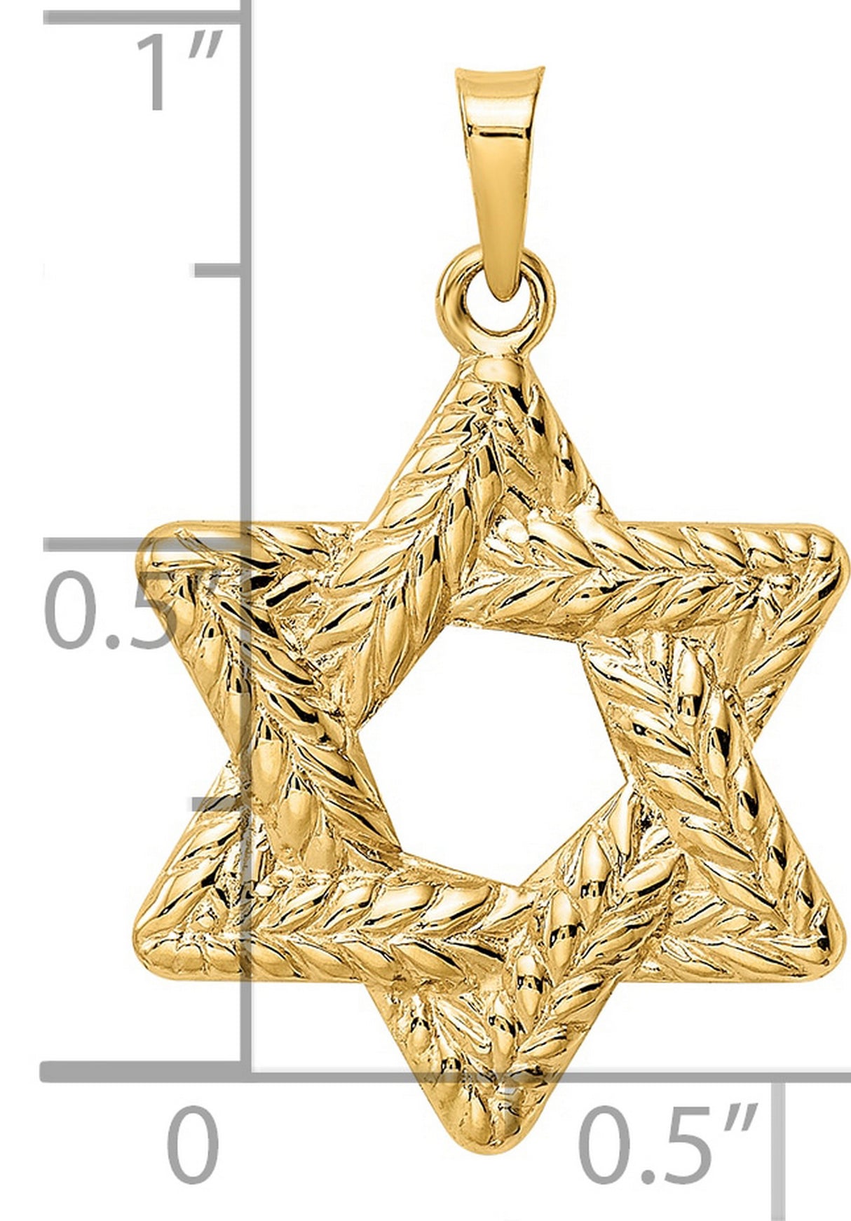 14k Yellow Gold Star of David Pendant with Textured Leaf Design, Jewish Symbol Jewelry