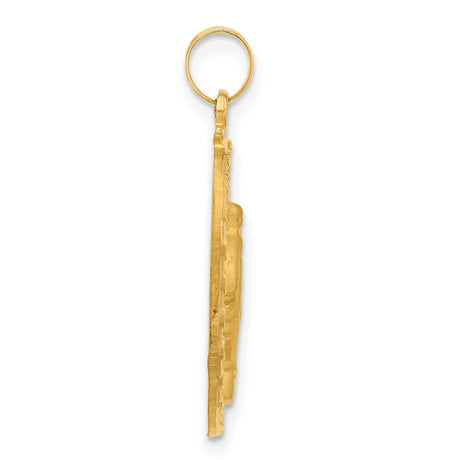 14k Yellow Gold Miraculous Medal Pendant with Virgin Mary and Satin Finish