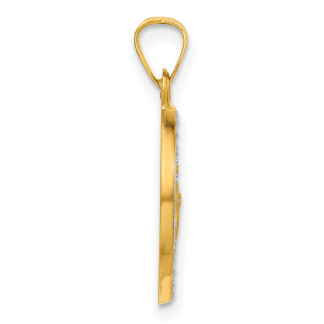 14k Multi-Tone Gold Jesus Pendant with Radiant Halo, Catholic Religious Medallion