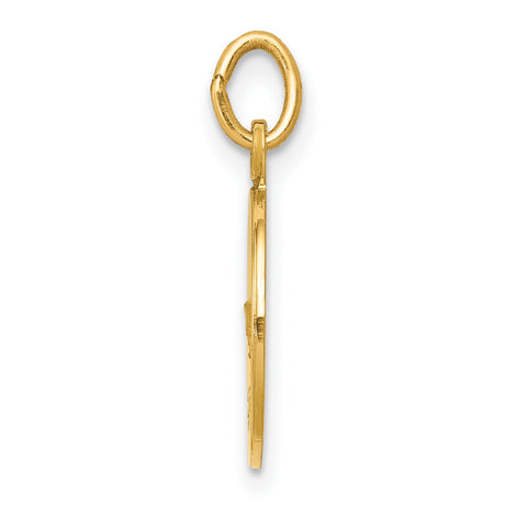 14k Yellow Gold Confirmation Pendant with Chalice Rays and IHS Symbol