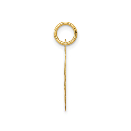 14k Yellow Gold Star of David Pendant, Polished Round Disc Religious Medallion