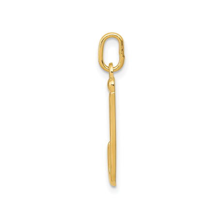 14k Yellow Gold Fish Hook Pendant, Hawaiian Nautical Symbol of Strength and Safe Travel