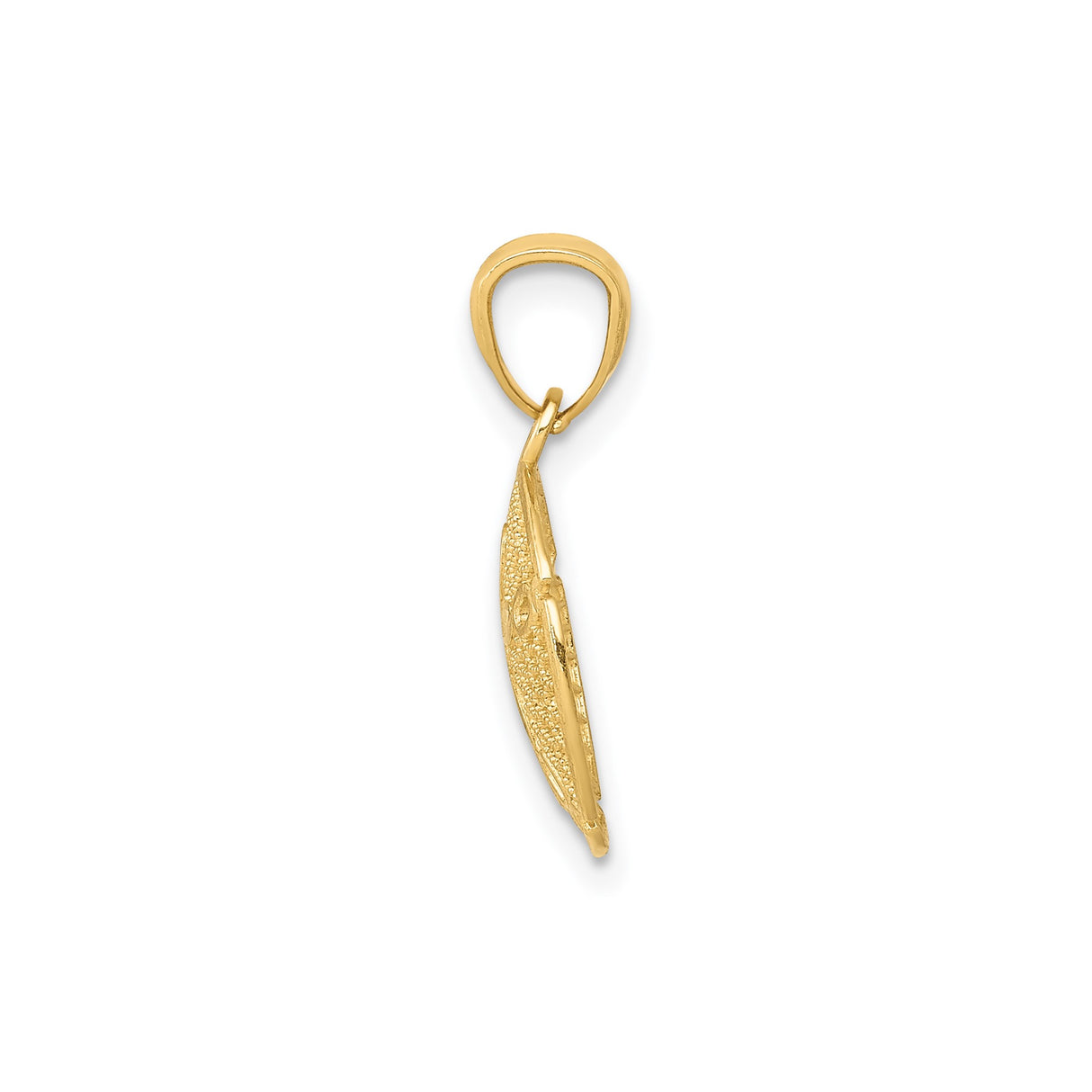14k Yellow Gold Sand Dollar Pendant with Cutout Filigree Design, Coastal Beach Charm