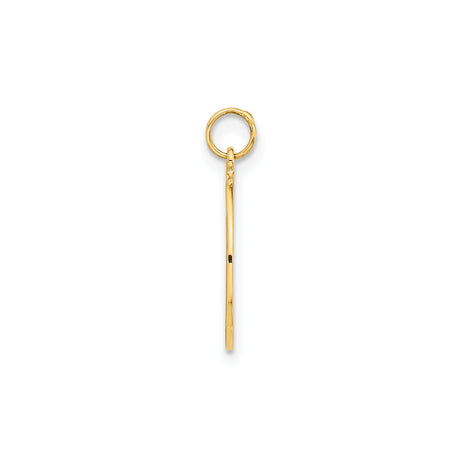 14k Yellow Gold Compass Pendant with Textured Star and Cardinal Directions, Unisex Nautical Charm