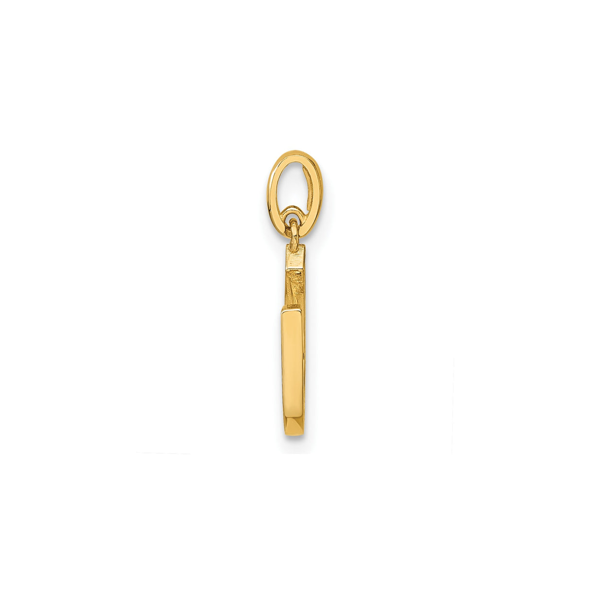 14k Yellow Gold Horseshoe Pendant with Cubic Zirconia, Luck Charm Jewelry for Women