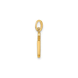 14k Yellow Gold Horseshoe Pendant with Cubic Zirconia, Luck Charm Jewelry for Women
