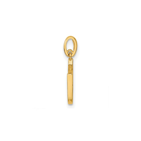 14k Yellow Gold Horseshoe Pendant with Cubic Zirconia, Luck Charm Jewelry for Women