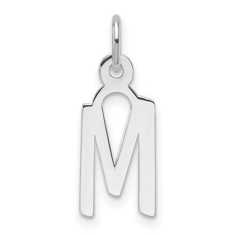 14k White Gold Miraculous Medal Pendant, Virgin Mary Religious Charm, Catholic Spiritual Jewelry for Women
