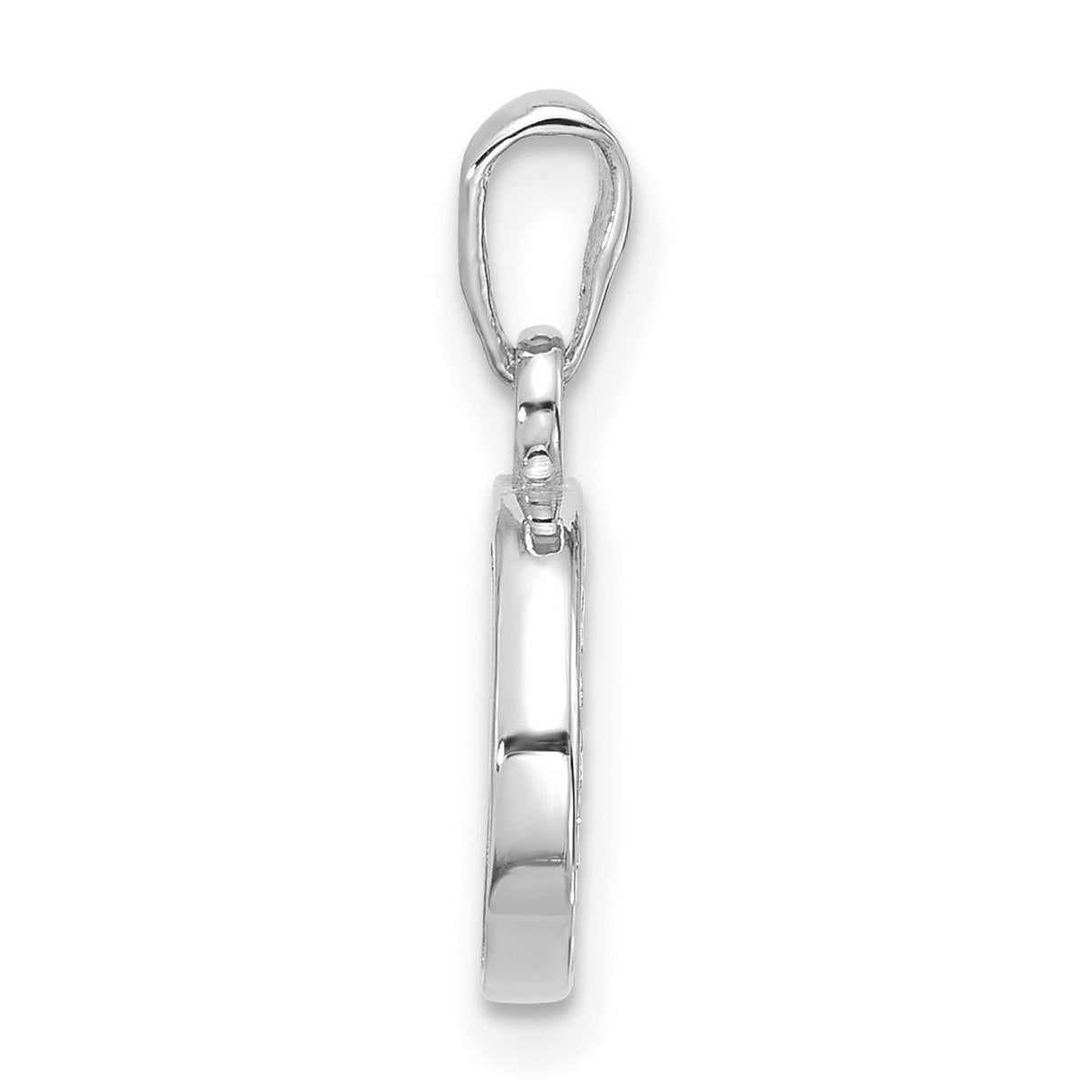 14k White Gold Horseshoe Pendant with Diamond Accents and Floral Details