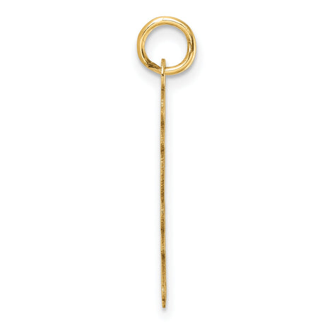 Polished and Satin Vertical 2024 Charm Pendant in Real 14k Yellow Gold