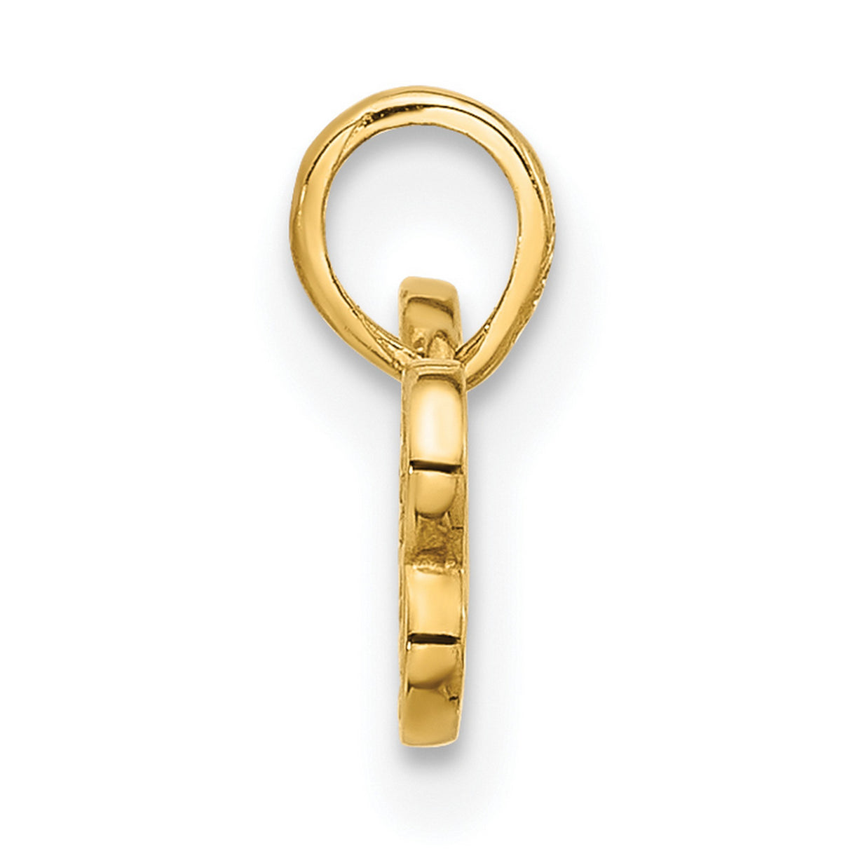 14k Yellow Gold Dog Bone Pendant Charm with Cubic Zirconia, Bone Shaped Jewelry for Dog Lovers