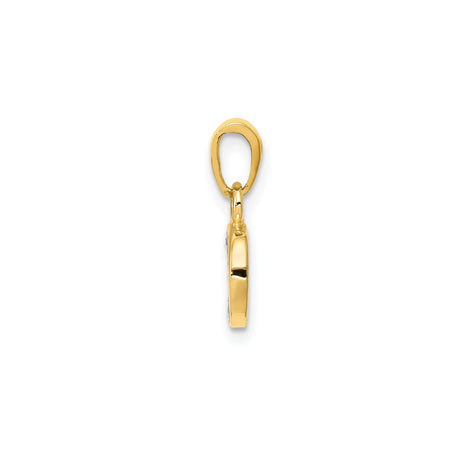 14k Yellow and Rhodium Gold Initial D Pendant with Diamond Accent, Monogram Charm