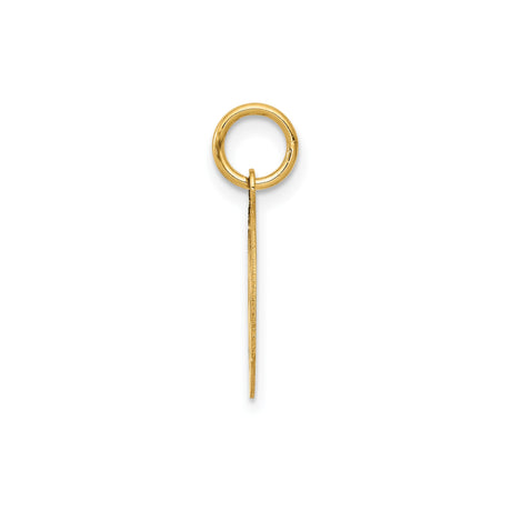 14k Yellow Gold Paramedic Pendant with Star of Life and Rod of Asclepius Symbol