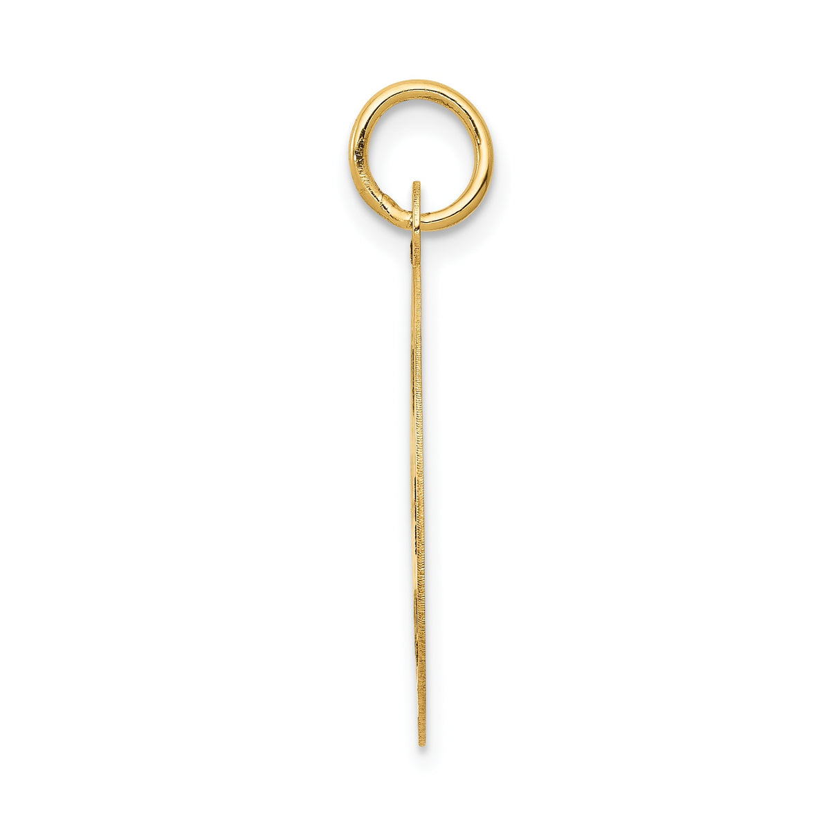 14k Yellow Gold Paramedic Pendant with Star of Life and Rod of Asclepius Symbol