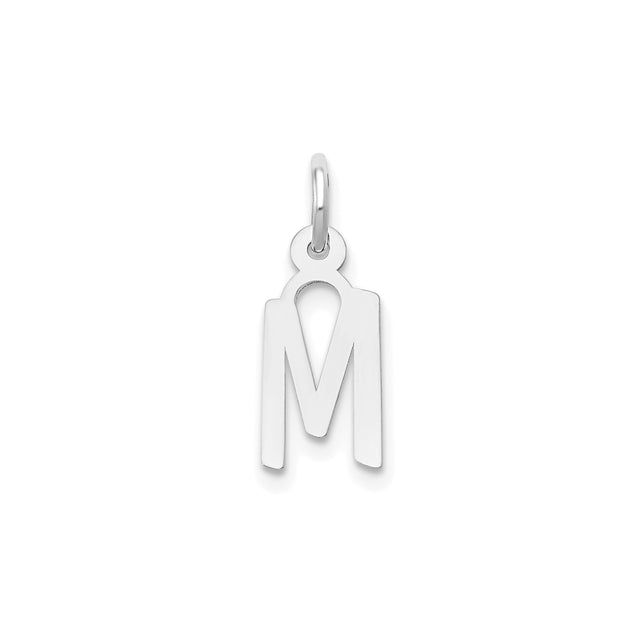 14k White Gold Marian Pendant with M Cross Symbol, Catholic Virgin Mary Charm