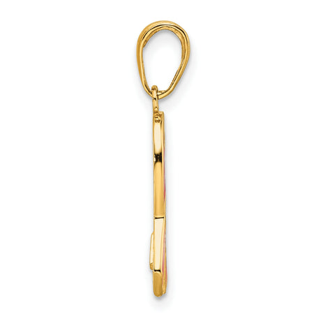 14k Yellow Gold Pendant with Pink Awareness Ribbon and Glossy Enamel Finish for Women
