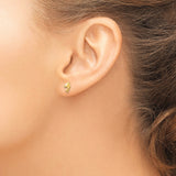 14k Yellow Gold Dolphin Stud Earrings, Polished Ocean-Inspired Animal Design for Women and Girls