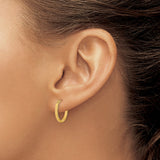14k Yellow Gold Hoop Earrings, Textured Leaf Pattern with Satin Finish, Lightweight Design