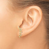 14k Yellow Gold Leaf Climber Earrings with Cubic Zirconia, Vine Motif Botanical Style