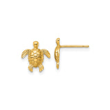 14k Yellow Gold Turtle Stud Earrings, Detailed Sea Turtle Design, Ocean Inspired Jewelry